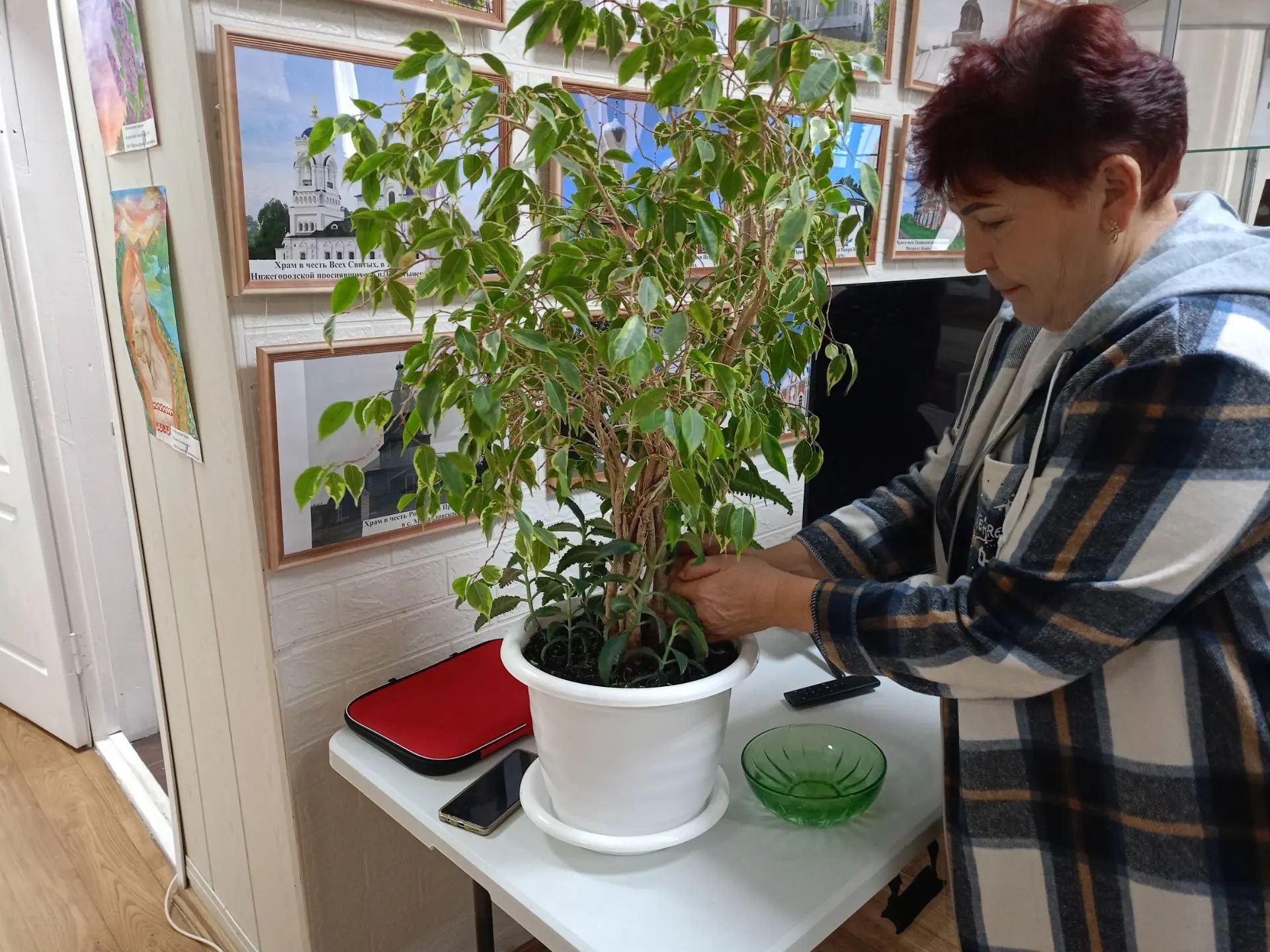 Капля жизни